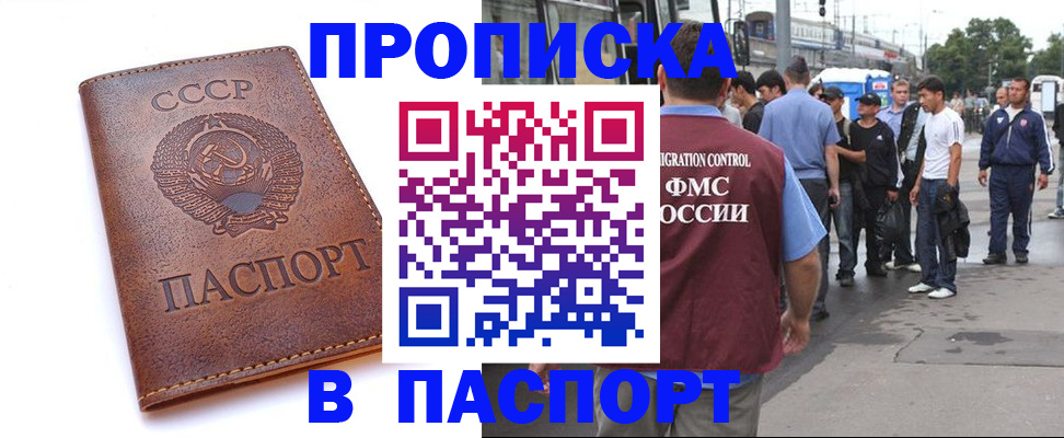 временная регистрация поиск в Горняке